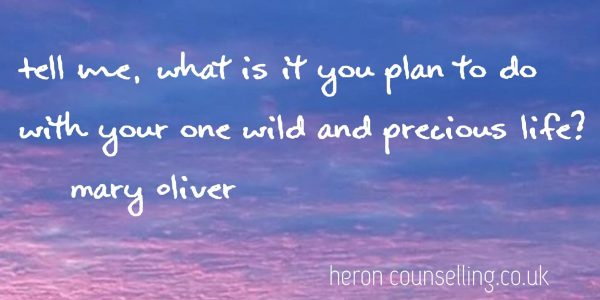Heron Counselling - Precious Life Mary Oliver (2)
